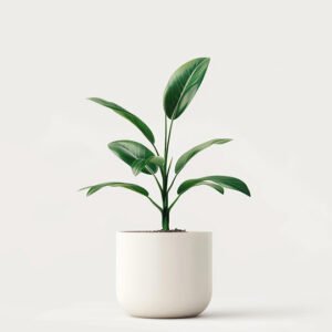 product 04